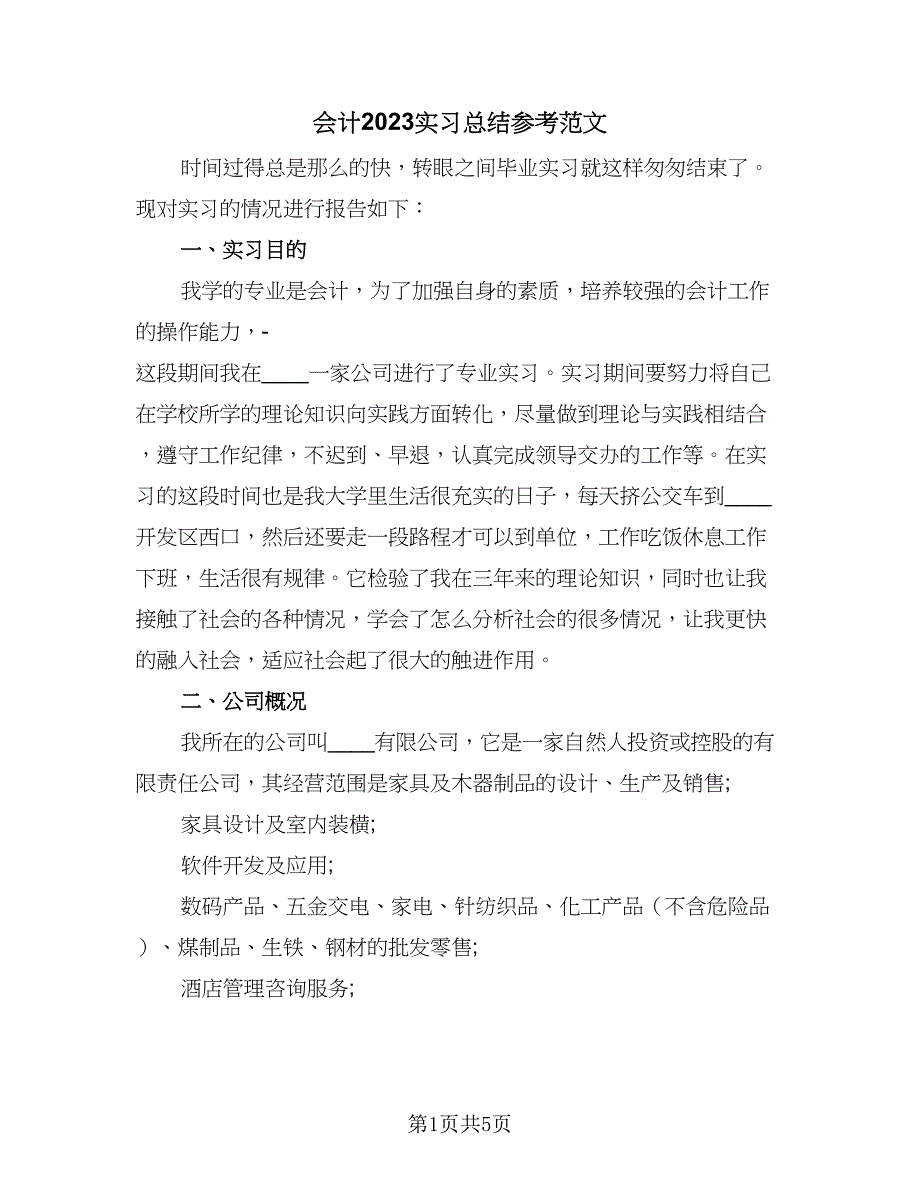 会计2023实习总结参考范文（二篇）.doc_第1页