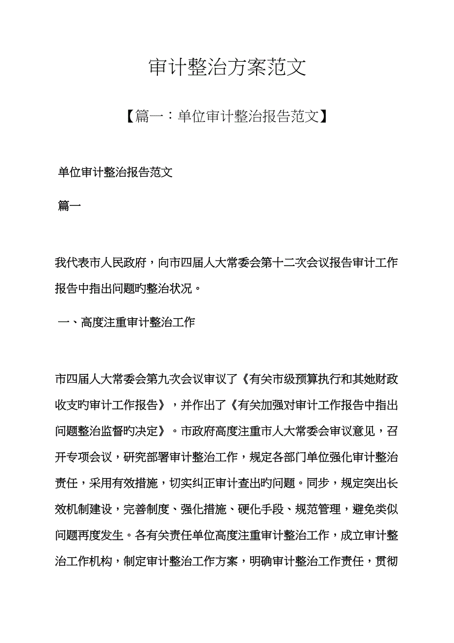 活动方案之审计整改方案范文_第1页