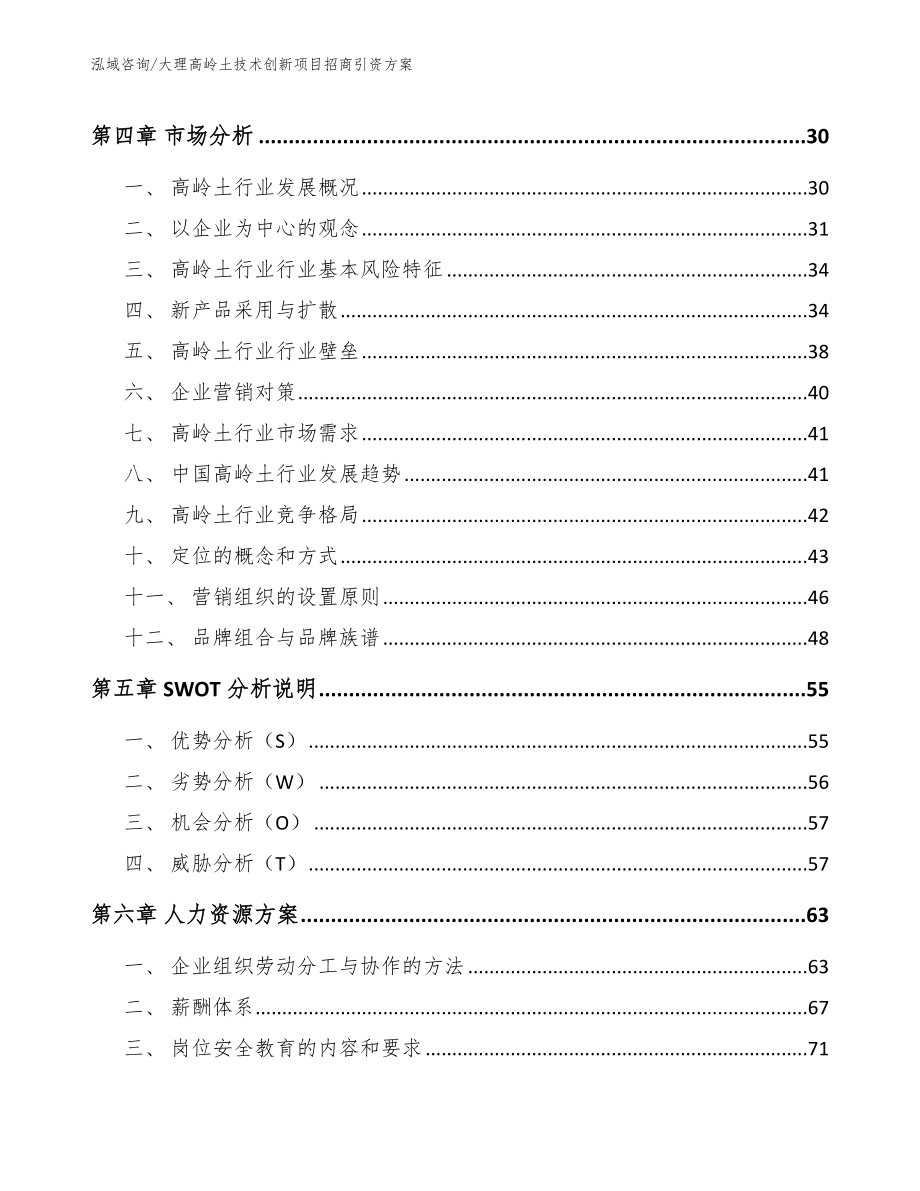 大理高岭土技术创新项目招商引资方案模板范文_第2页