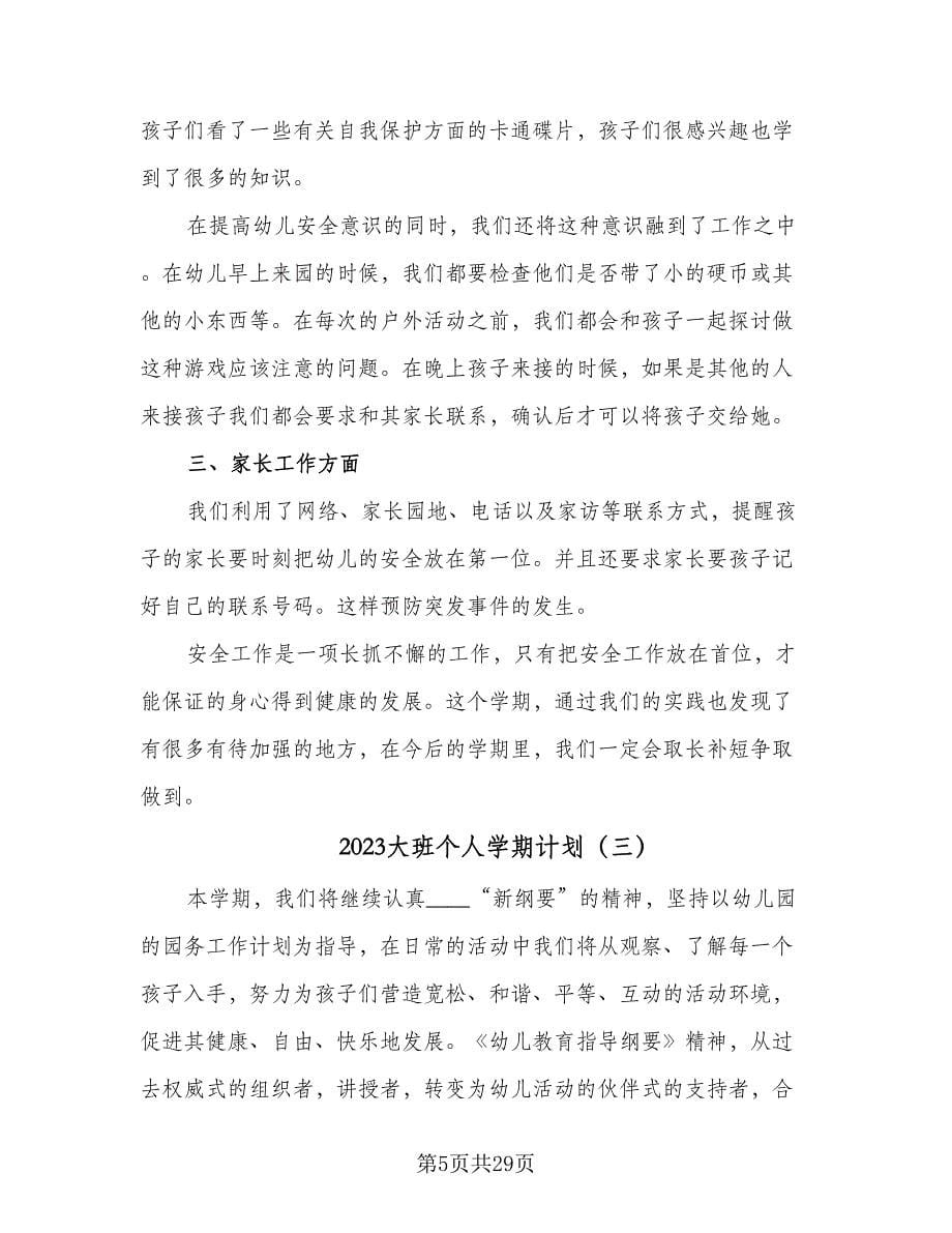 2023大班个人学期计划（八篇）.doc_第5页