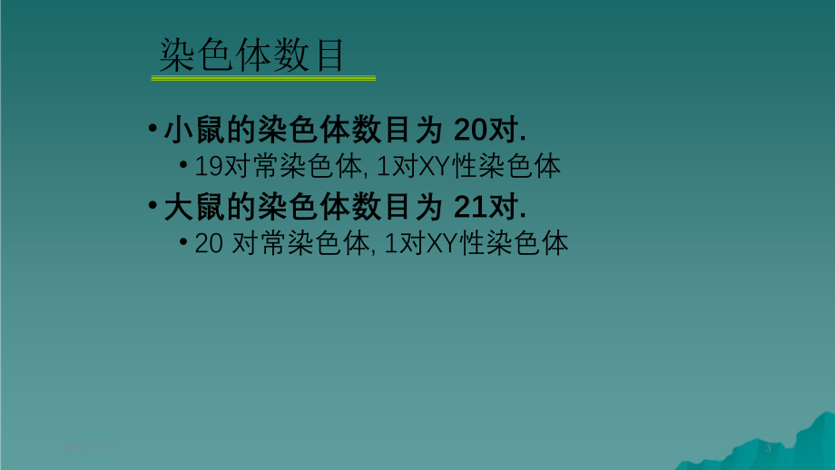 大小鼠解剖生理特点精选干货_第3页