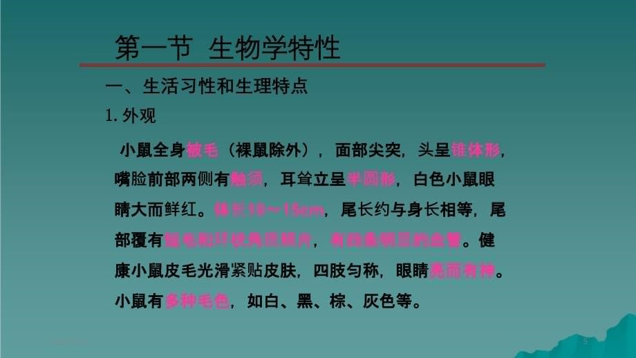 大小鼠解剖生理特点精选干货_第5页