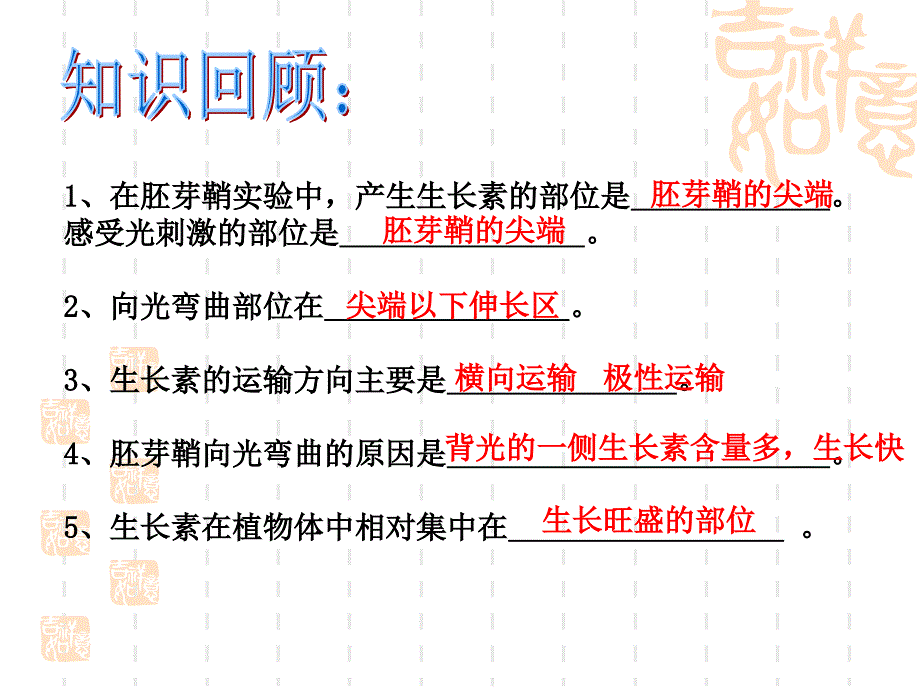 3.2生长素的作用_第2页