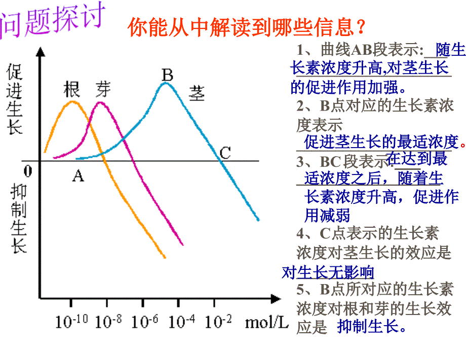 3.2生长素的作用_第4页