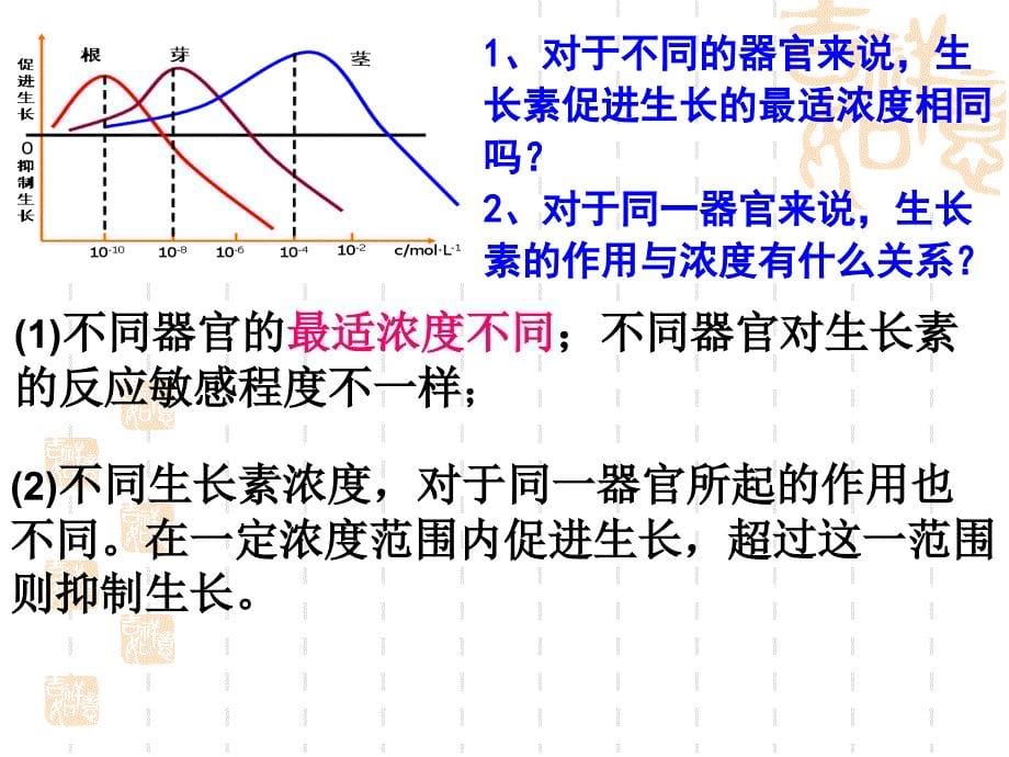 3.2生长素的作用_第5页