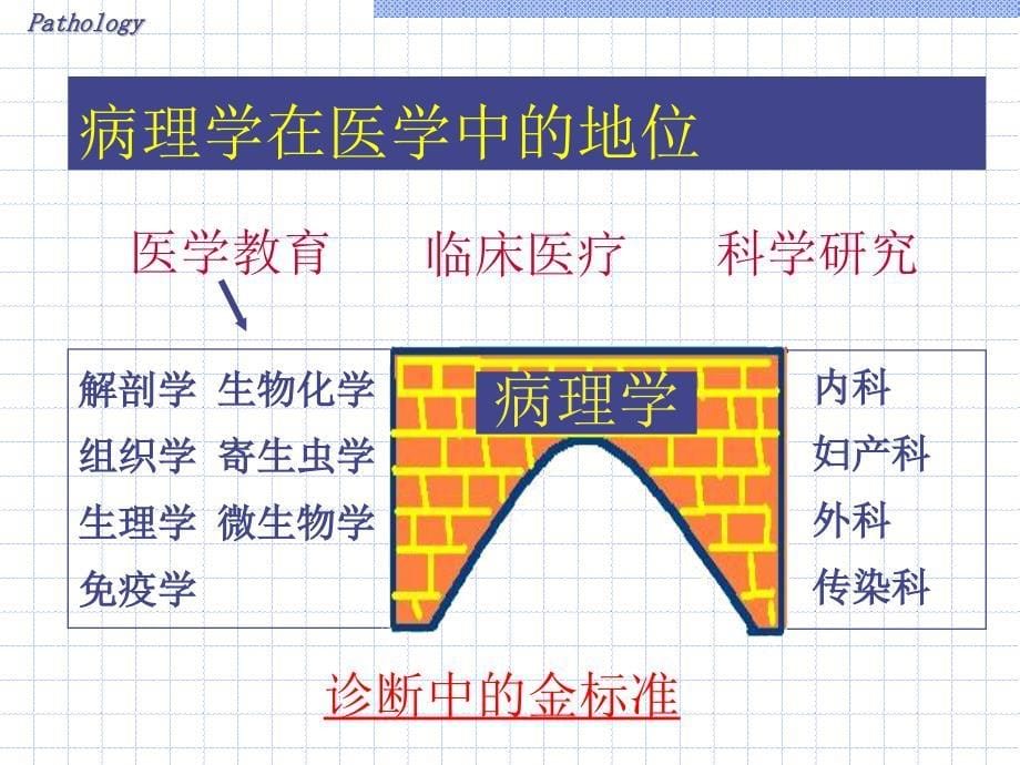 病理学：绪论_第5页