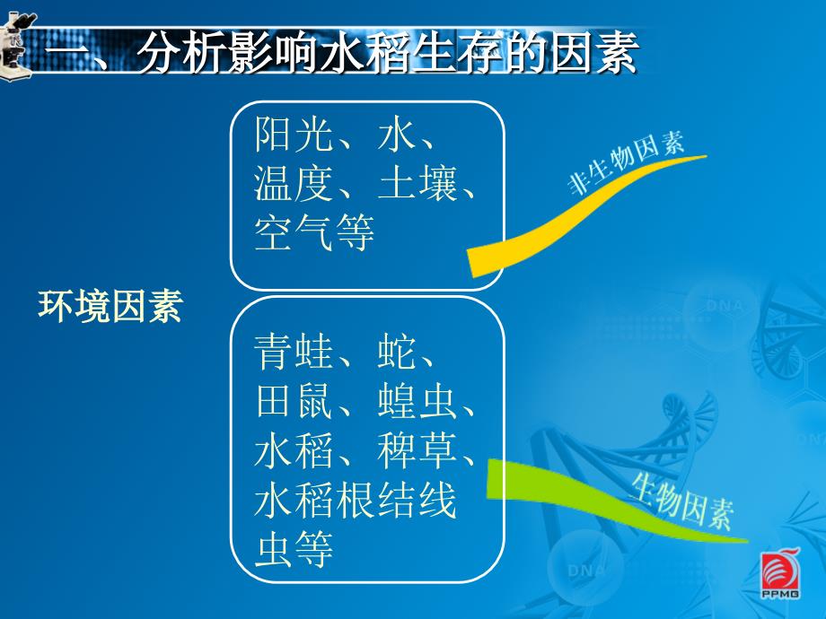 环境影响生物的生存PPT课件2_第3页