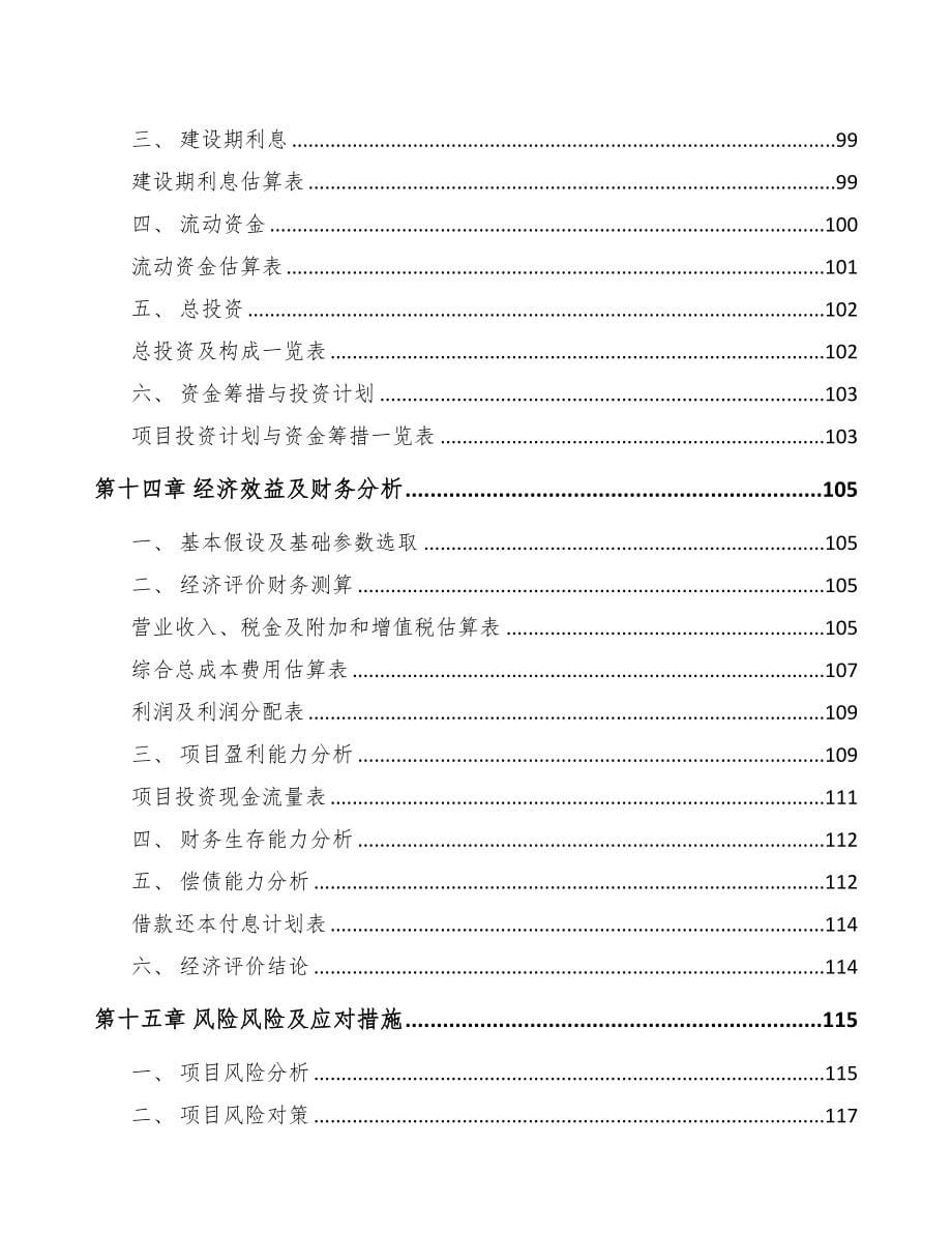 某某电池产品项目可行性研究报告(DOC 89页)_第5页