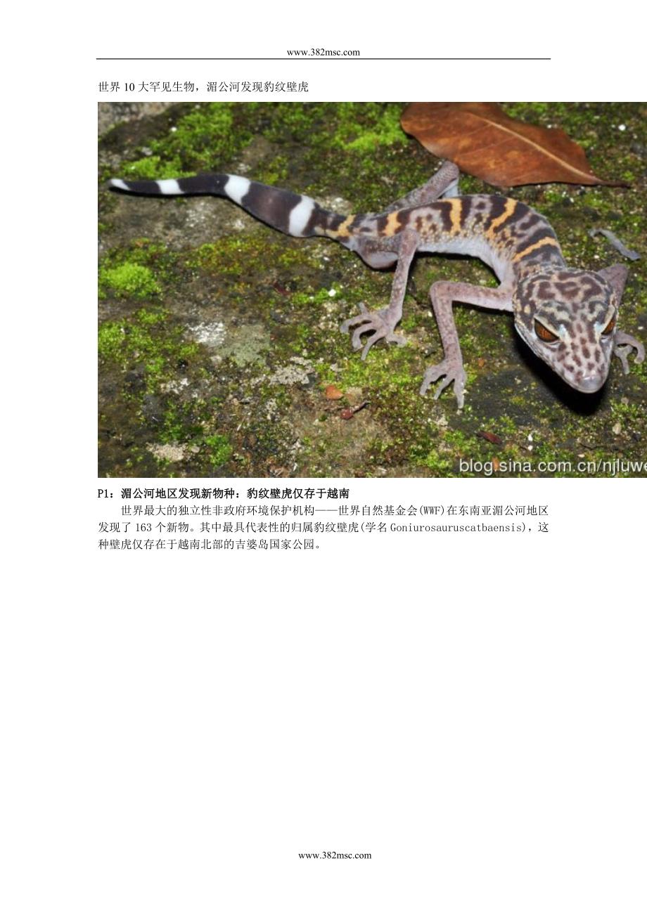 世界10大罕见生物.doc_第1页