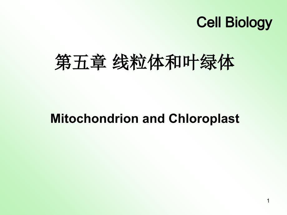 线粒体和叶绿体张森_第1页