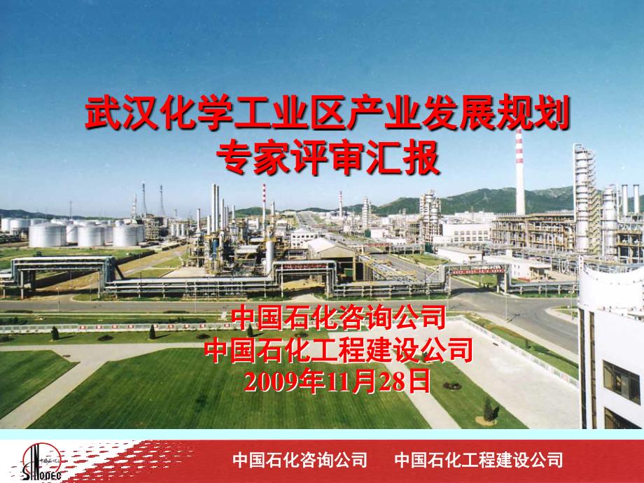 武汉化工区产业发的展规划专家评审汇报_第1页