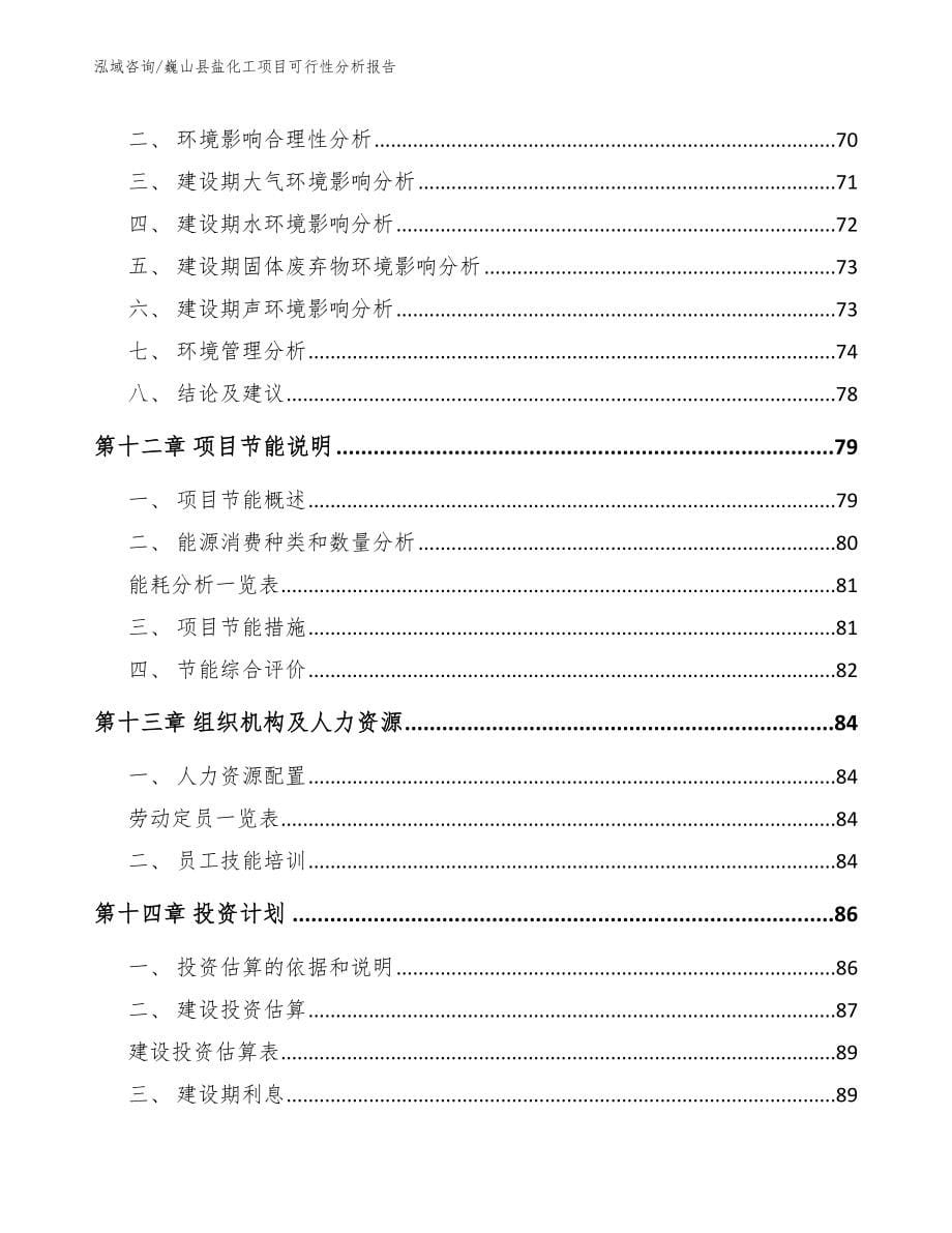 巍山县盐化工项目可行性分析报告【模板】_第5页