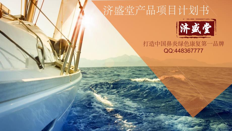 鼻炎营销模式策划书课件_第1页