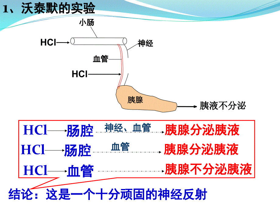 2.2通过激素的调节课件李怀生_第4页