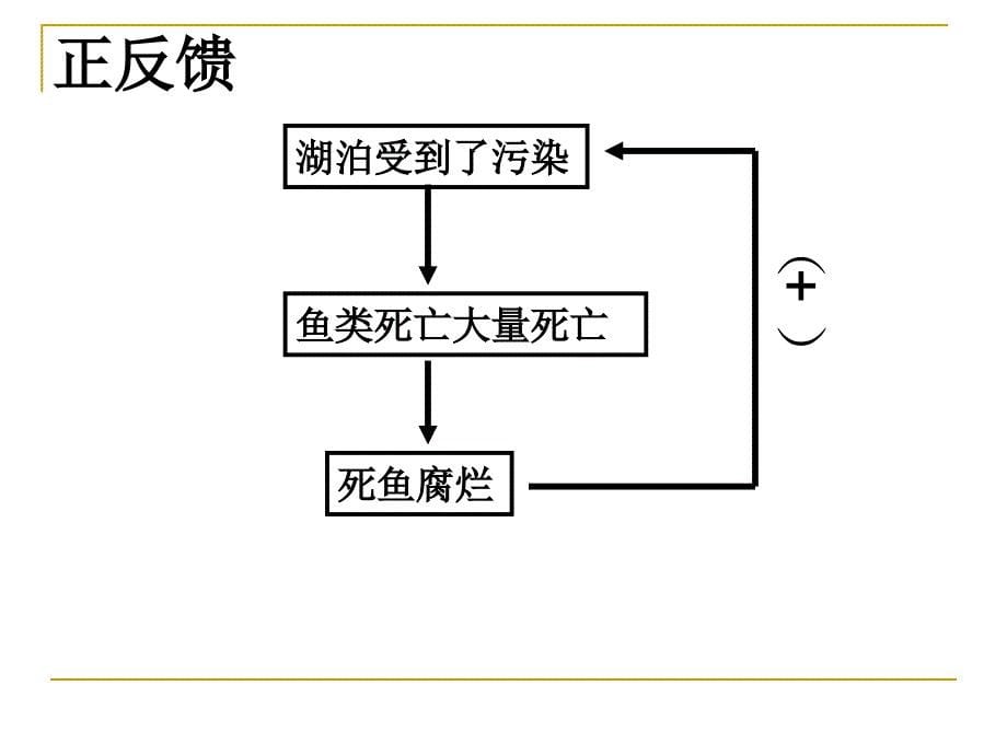 生物：第17章第3节统的自我调节课件（苏科版八年级上）_第5页