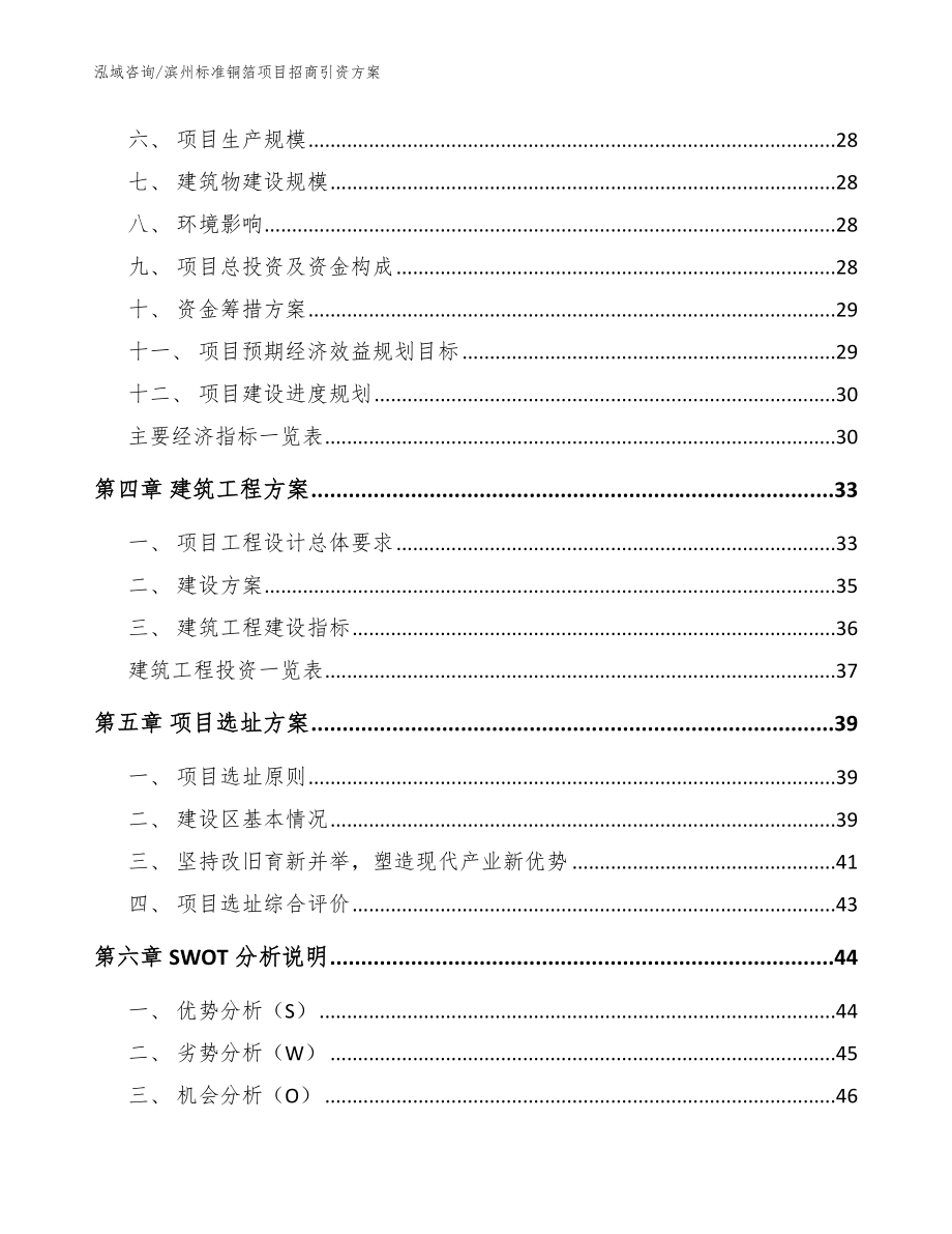 滨州标准铜箔项目招商引资方案（范文参考）_第2页