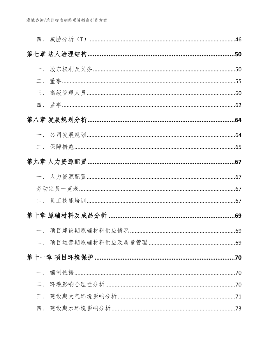 滨州标准铜箔项目招商引资方案（范文参考）_第3页