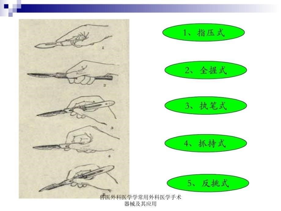 兽医外科医学学常用外科医学手术器械及其应用课件_第5页