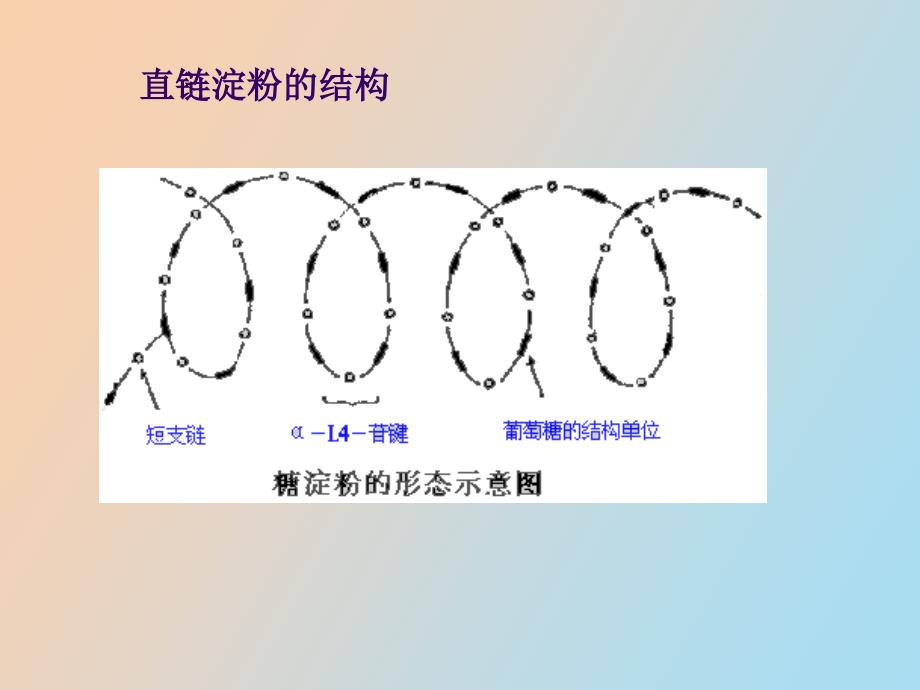 淀粉水解糖的制备_第3页