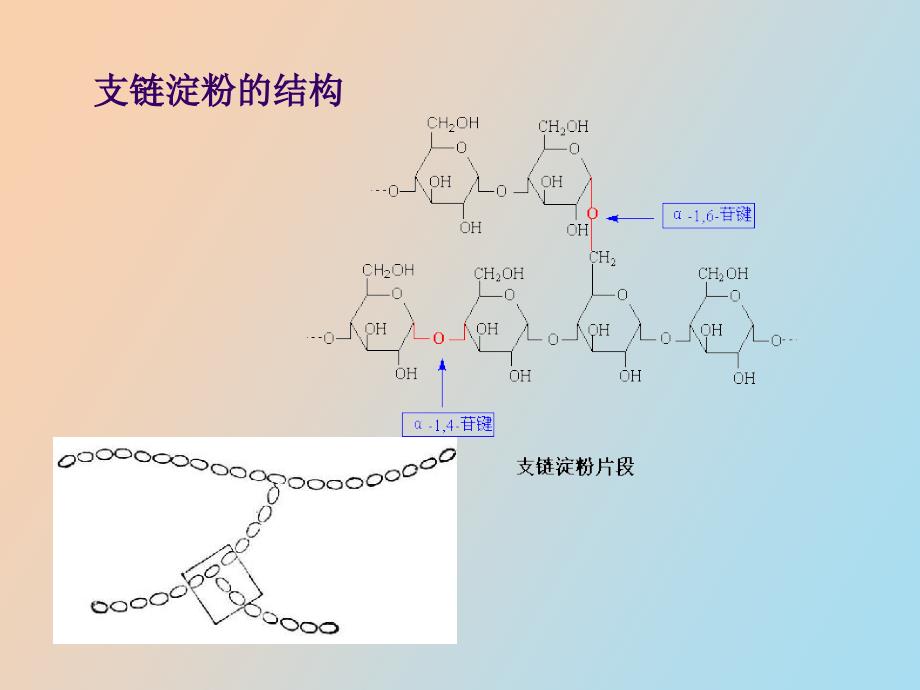 淀粉水解糖的制备_第4页