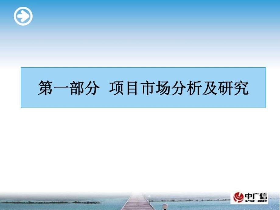 中广信毕欧营销策划报告101页_第3页