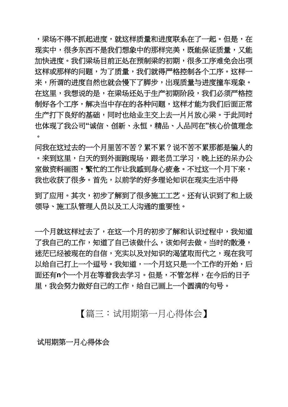 工作两个月心得体会_第4页