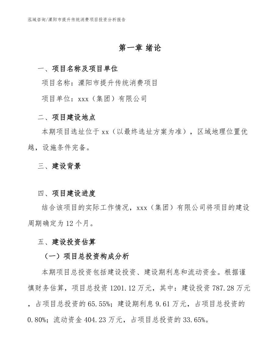 溧阳市提升传统消费项目投资分析报告（范文模板）_第5页