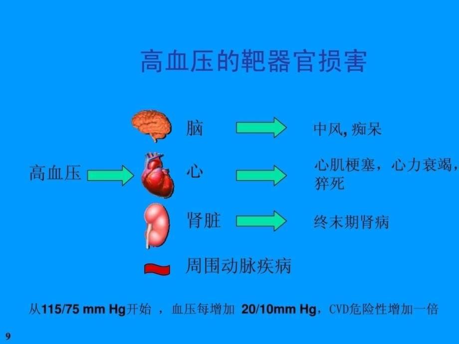 [整理版]高血压最新课件订版_第5页