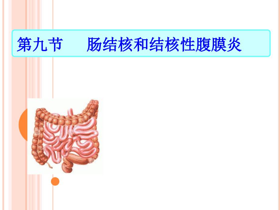 肠结核和结核性腹膜炎 (2)_第2页