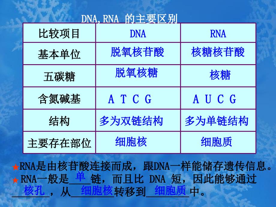 生物41基因指导蛋白质的合成课件3新人教版必修2_第4页