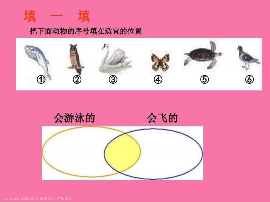 人教课标版三年下数学广角重叠问题1ppt课件_第5页