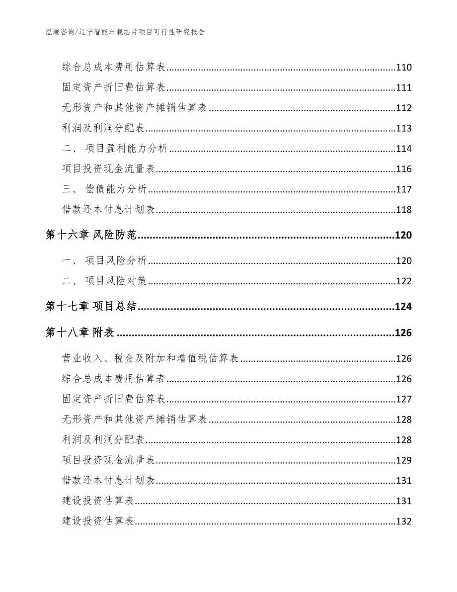 辽宁智能车载芯片项目可行性研究报告（参考模板）_第5页