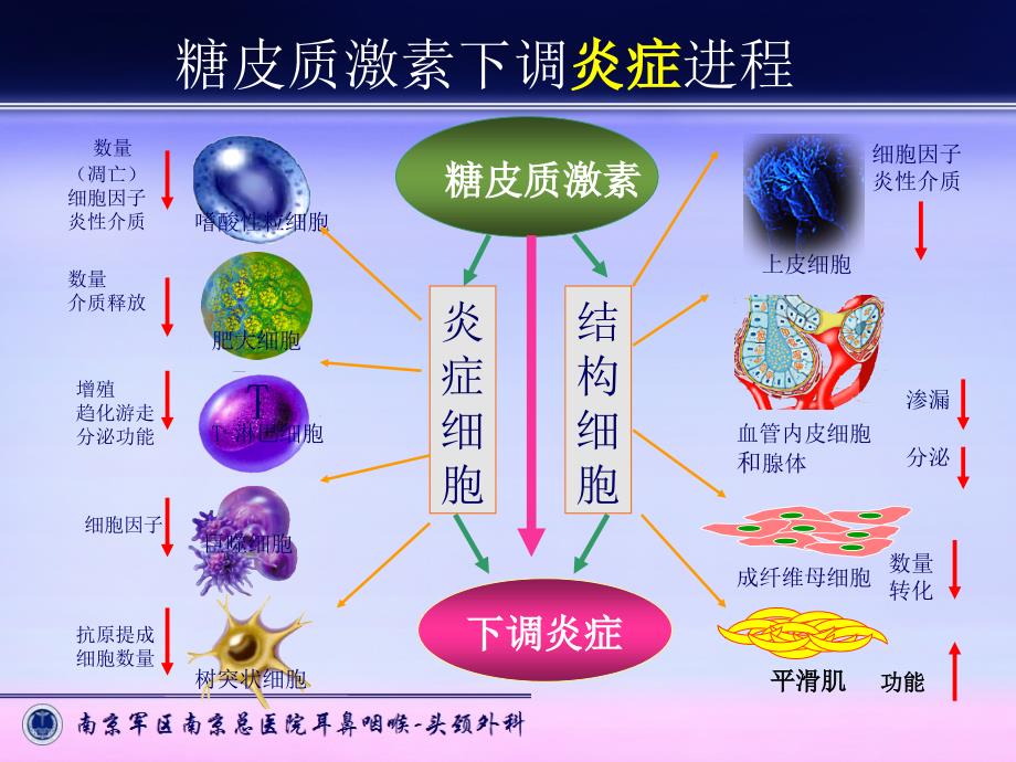 布地奈德在耳鼻咽喉炎症性疾病中的应用_第4页