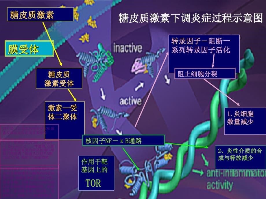 布地奈德在耳鼻咽喉炎症性疾病中的应用_第5页