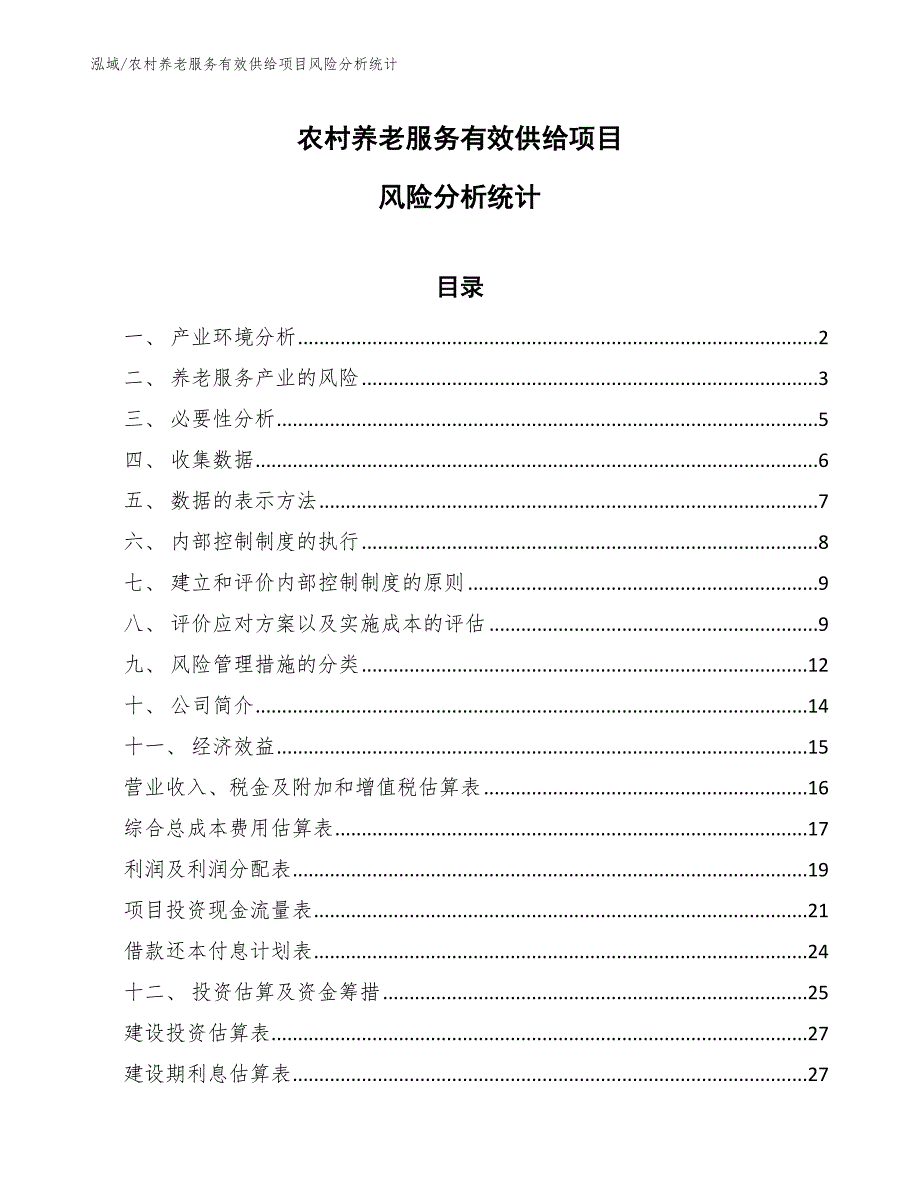 农村养老服务有效供给项目风险分析统计【范文】_第1页