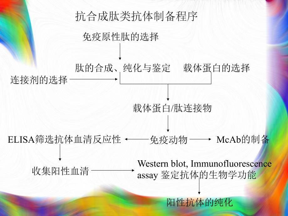 多肽抗原的设计与抗体制备第课件_第3页