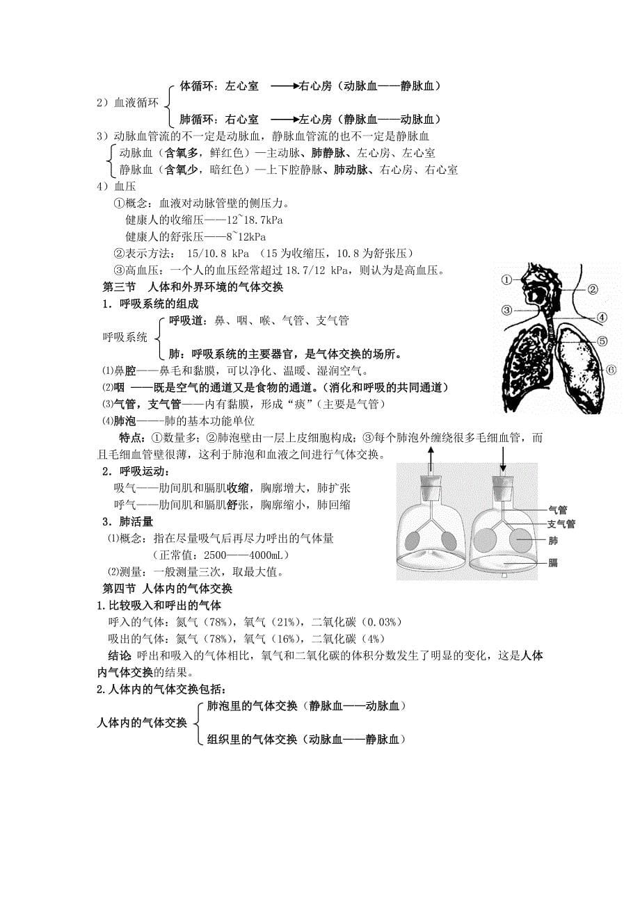 七年级下册生物复习资料.docx_第5页