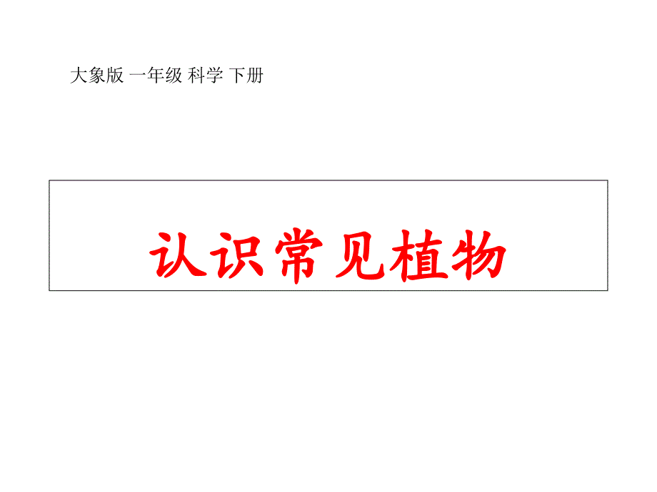 大象版小学科学一年级下册21认识常见植物-课件)_第1页