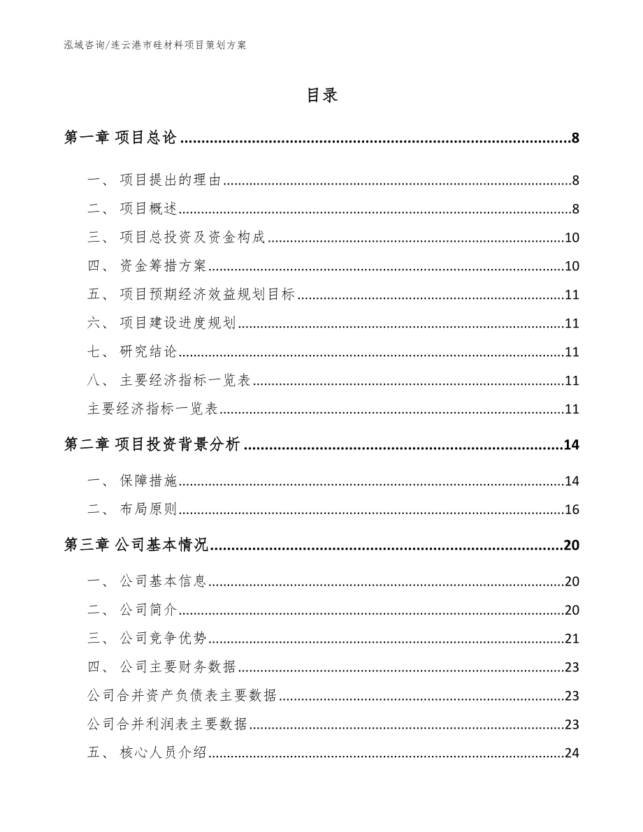 连云港市硅材料项目策划（模板）_第2页