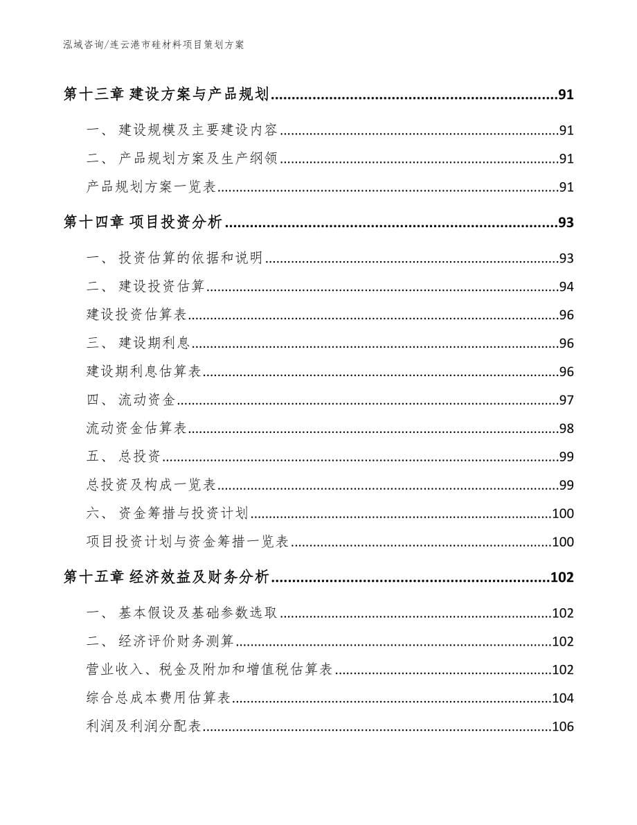 连云港市硅材料项目策划（模板）_第5页