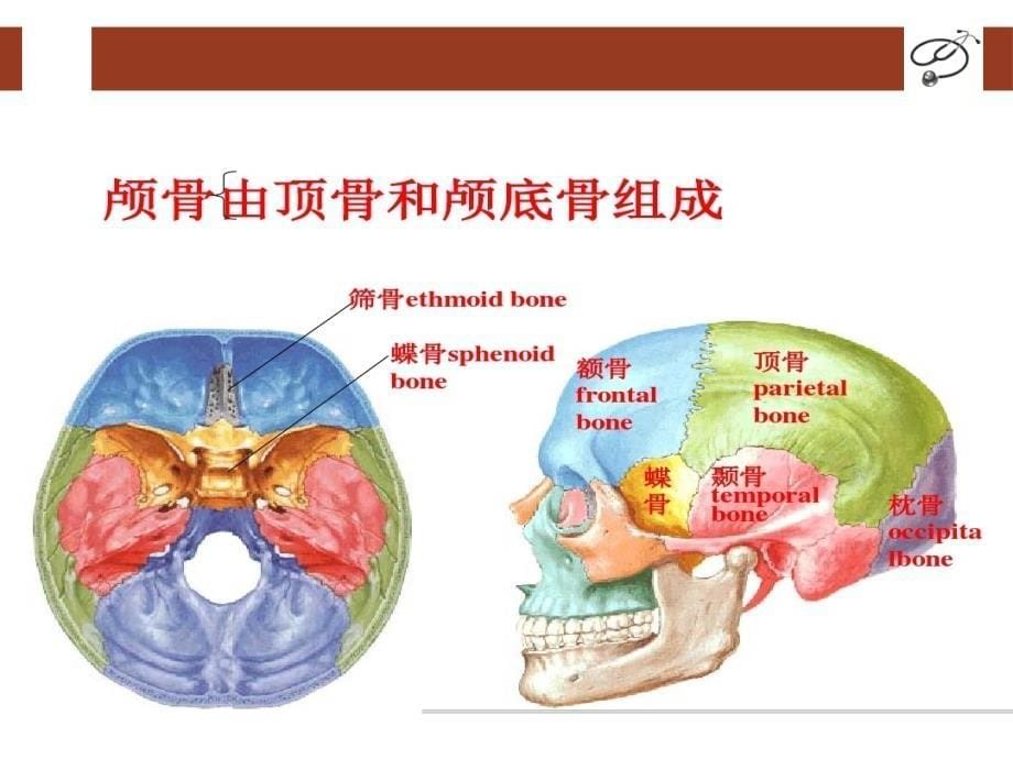 颅骨骨折03版ppt课件_第5页