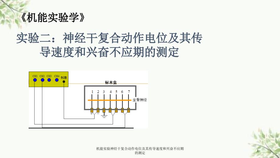 机能实验神经干复合动作电位及其传导速度和兴奋不应期的测定课件_第1页