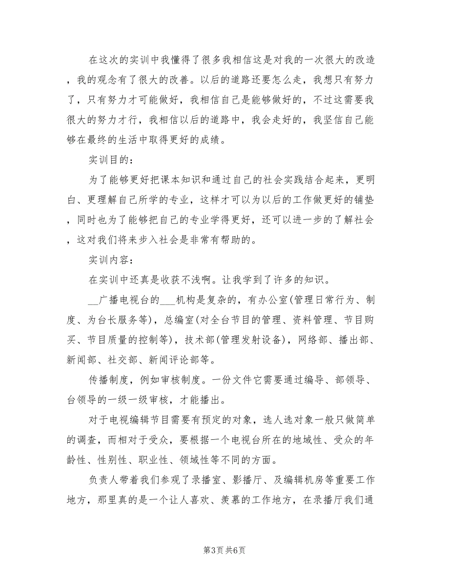 2022年电视台实训报告总结_第3页