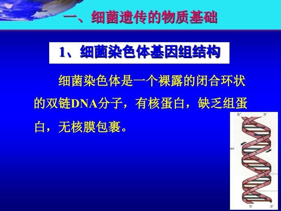 细菌的遗传与变异医学微生物学_第5页