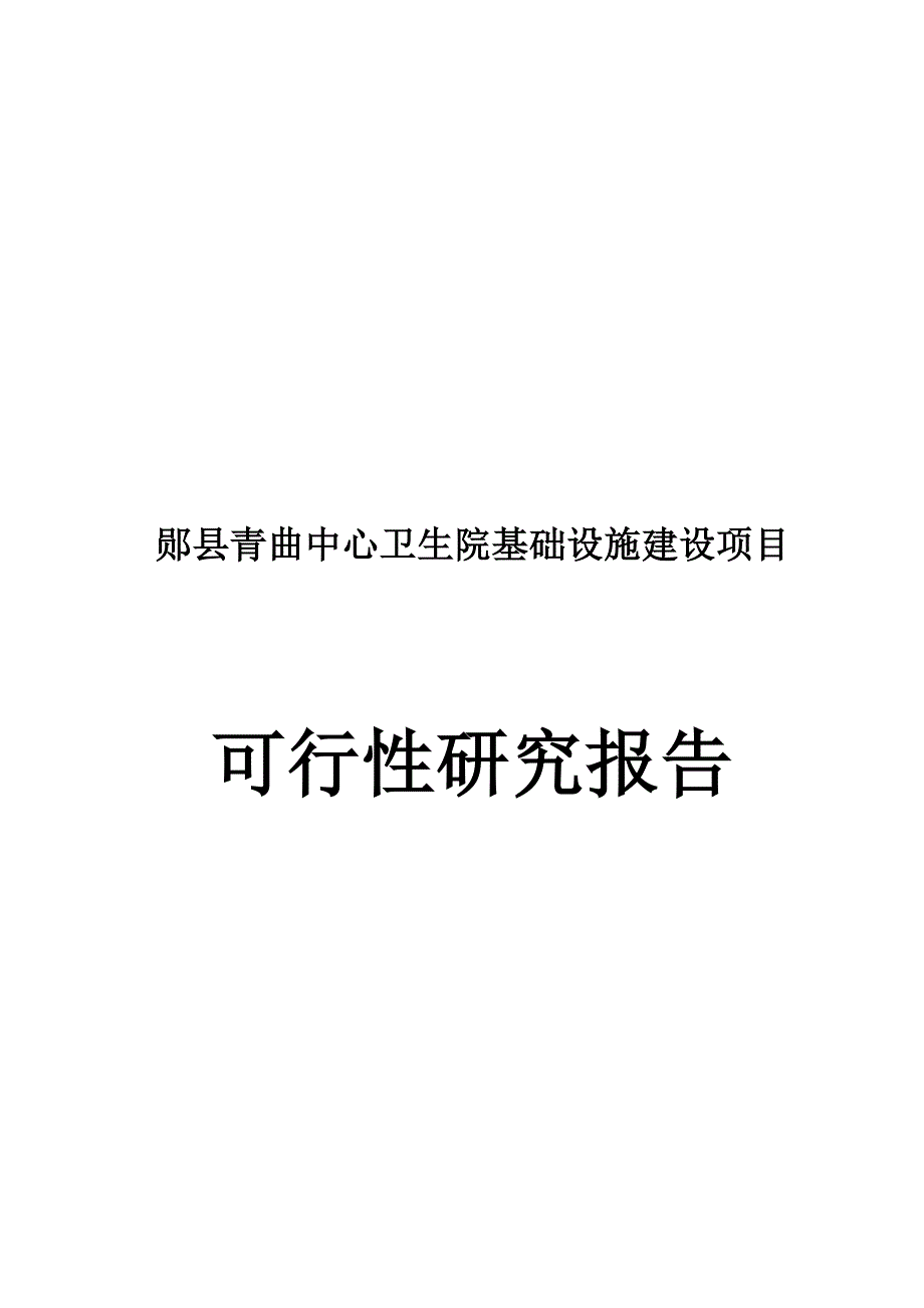 中心卫生院基础设施建设项目可行研究报告_第2页