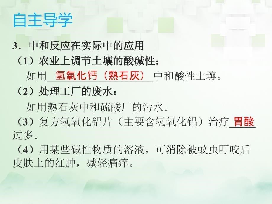 化学总模块一 元素化合物 课题6 酸和碱的中和反应_第5页