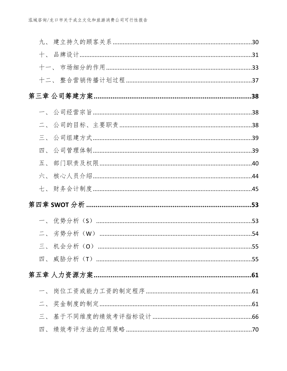 龙口市关于成立文化和旅游消费公司可行性报告（模板参考）_第4页