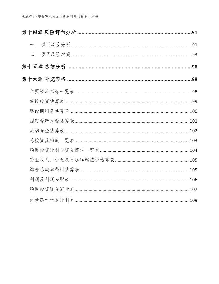 安徽锂电三元正极材料项目投资计划书（范文参考）_第5页