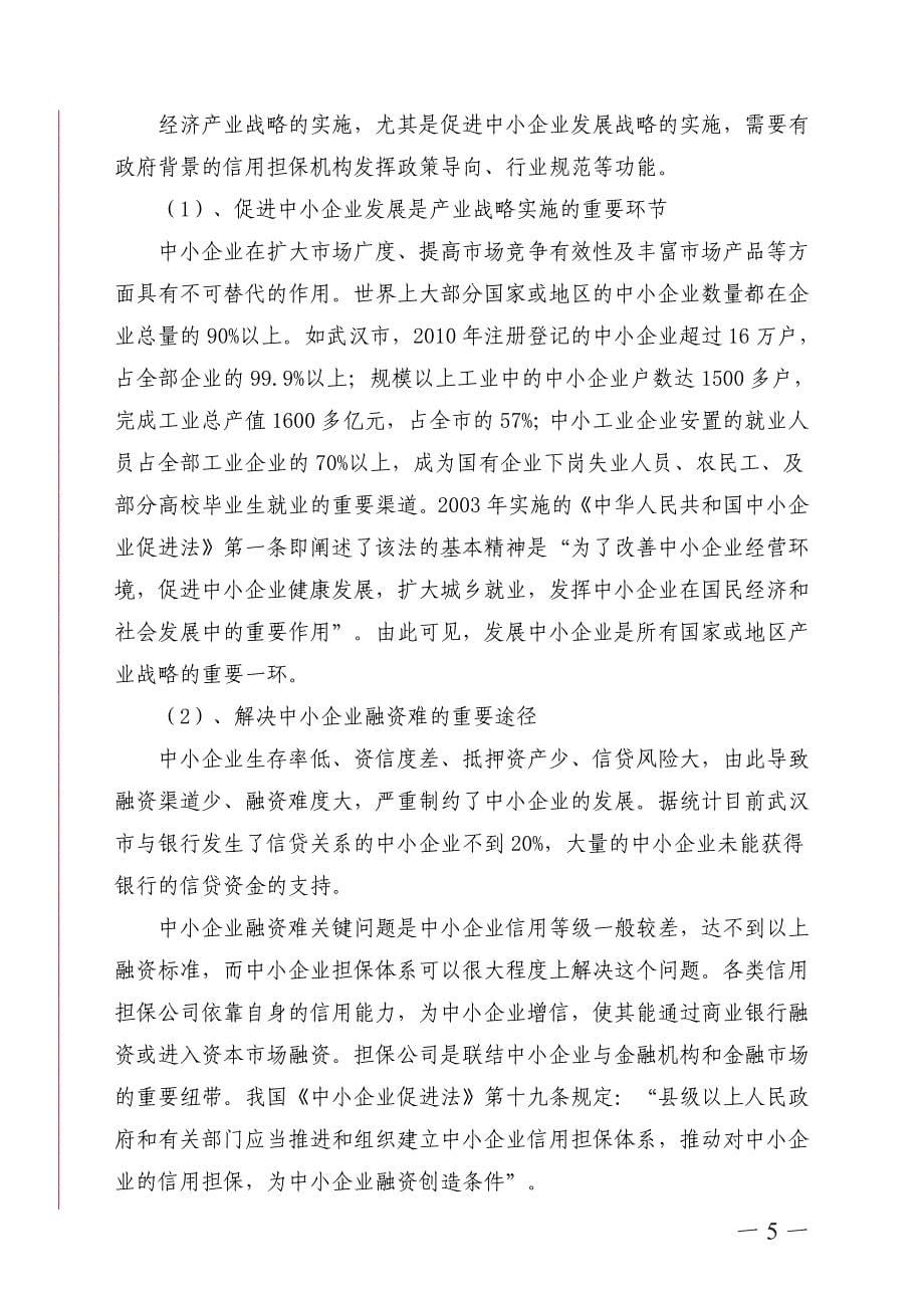 XXX担保公司可行性报告_第5页