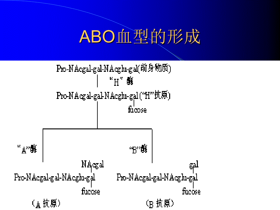 红细胞血型血清学疑难问题文档资料_第4页